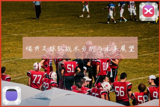 瑞典足球队战术分析与未来展望