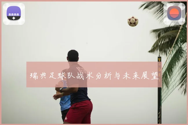 瑞典足球队战术分析与未来展望